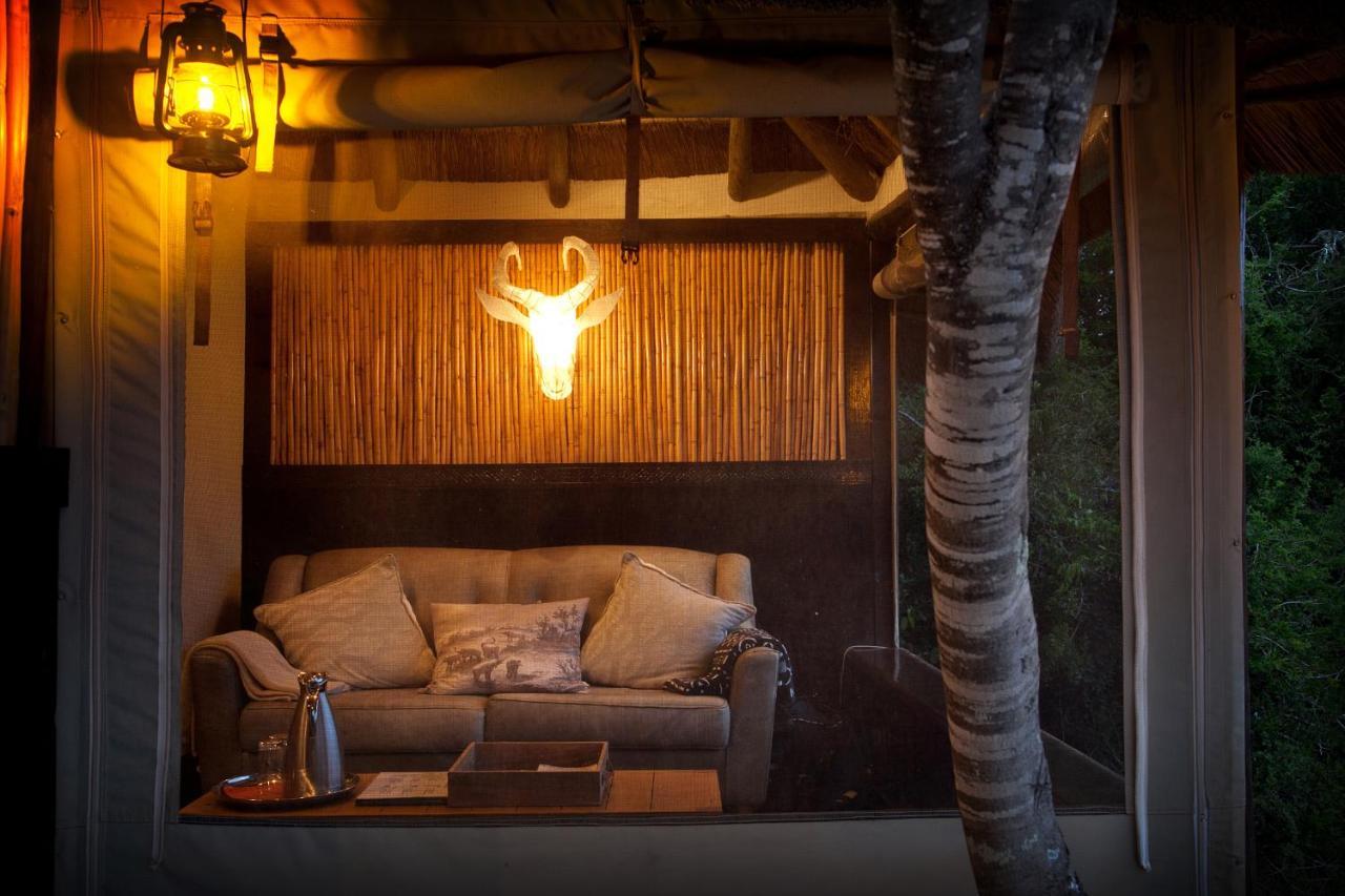Safari Lodge - Amakhala Game Reserve Luaran gambar