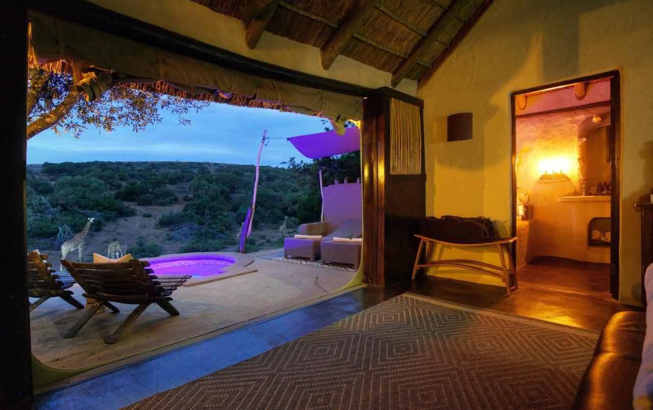 Safari Lodge - Amakhala Game Reserve Luaran gambar