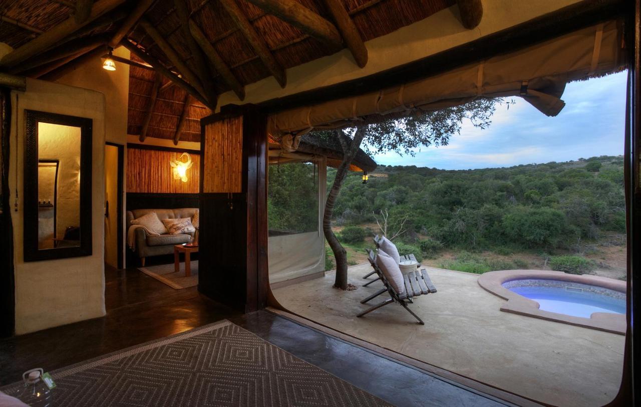 Safari Lodge - Amakhala Game Reserve Luaran gambar