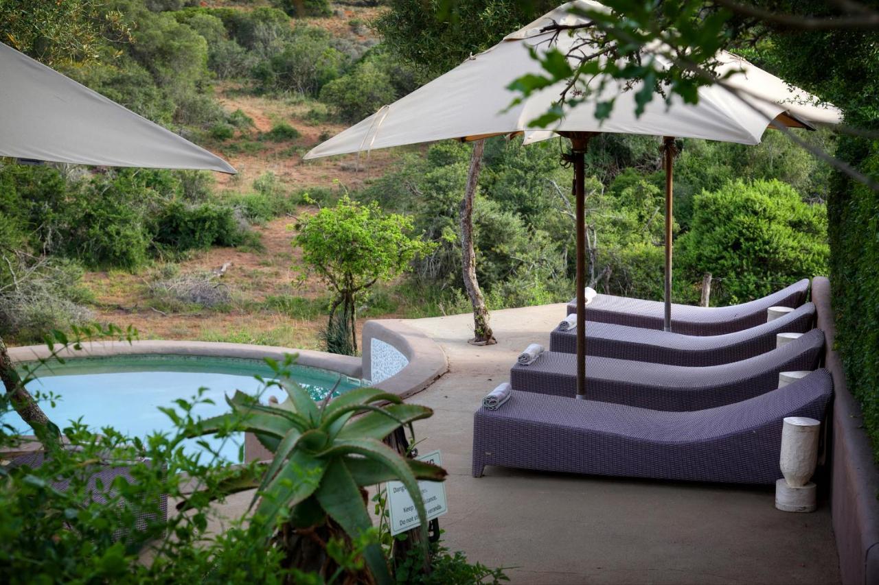 Safari Lodge - Amakhala Game Reserve Luaran gambar