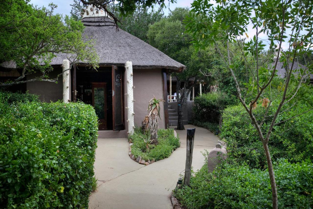 Safari Lodge - Amakhala Game Reserve Luaran gambar
