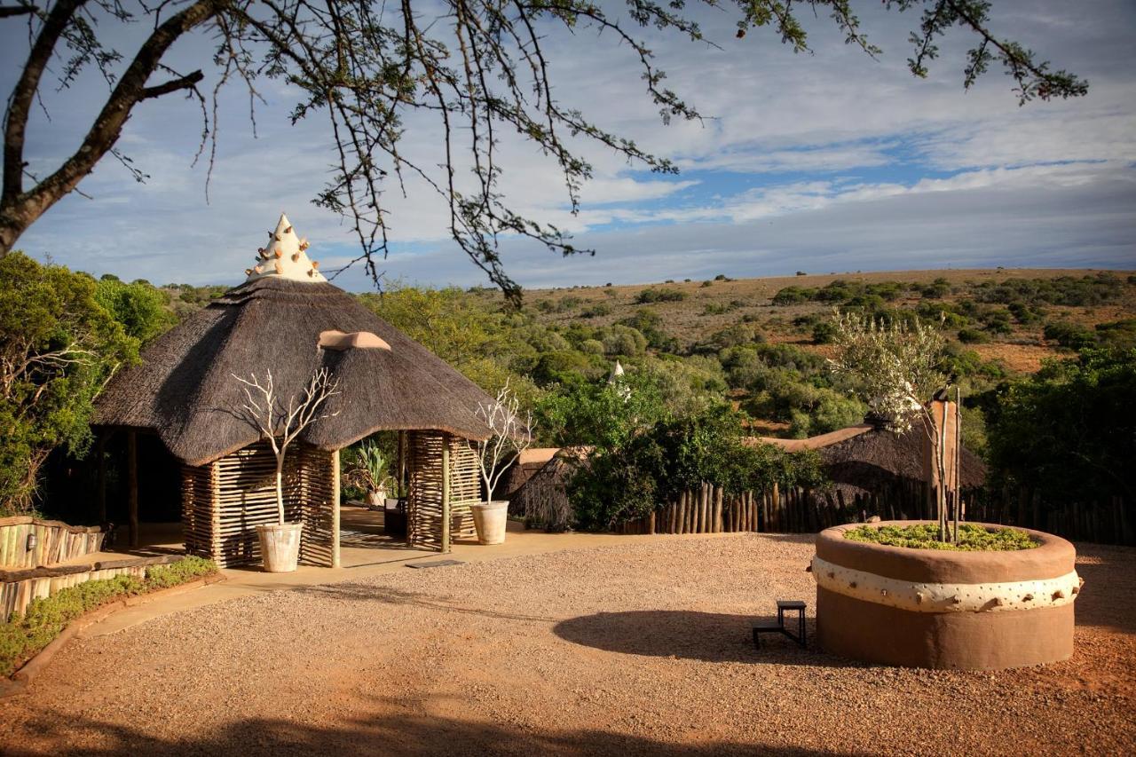 Safari Lodge - Amakhala Game Reserve Luaran gambar