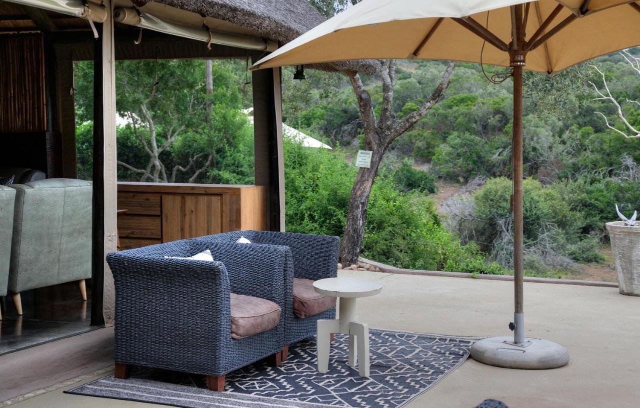 Safari Lodge - Amakhala Game Reserve Luaran gambar