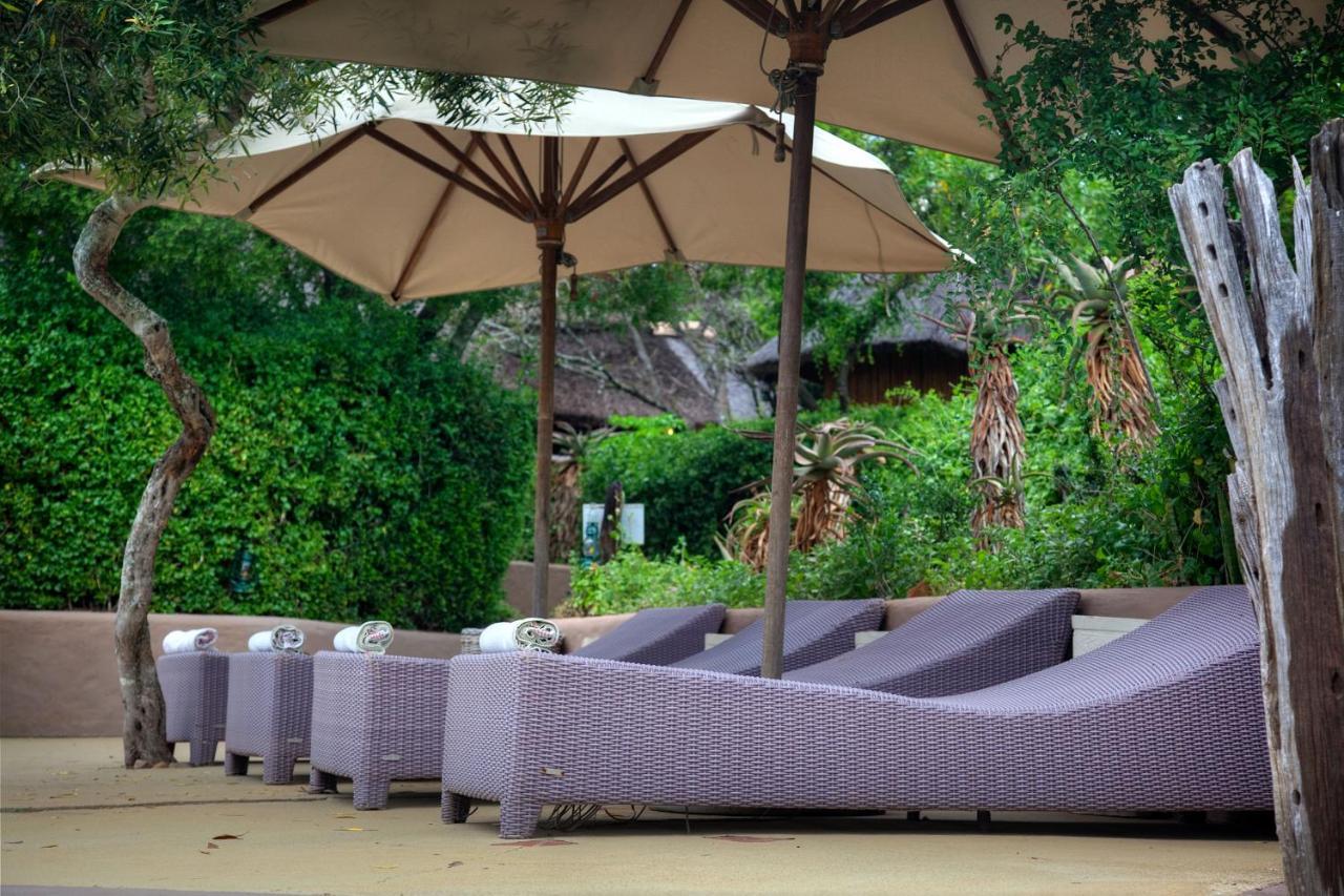 Safari Lodge - Amakhala Game Reserve Luaran gambar