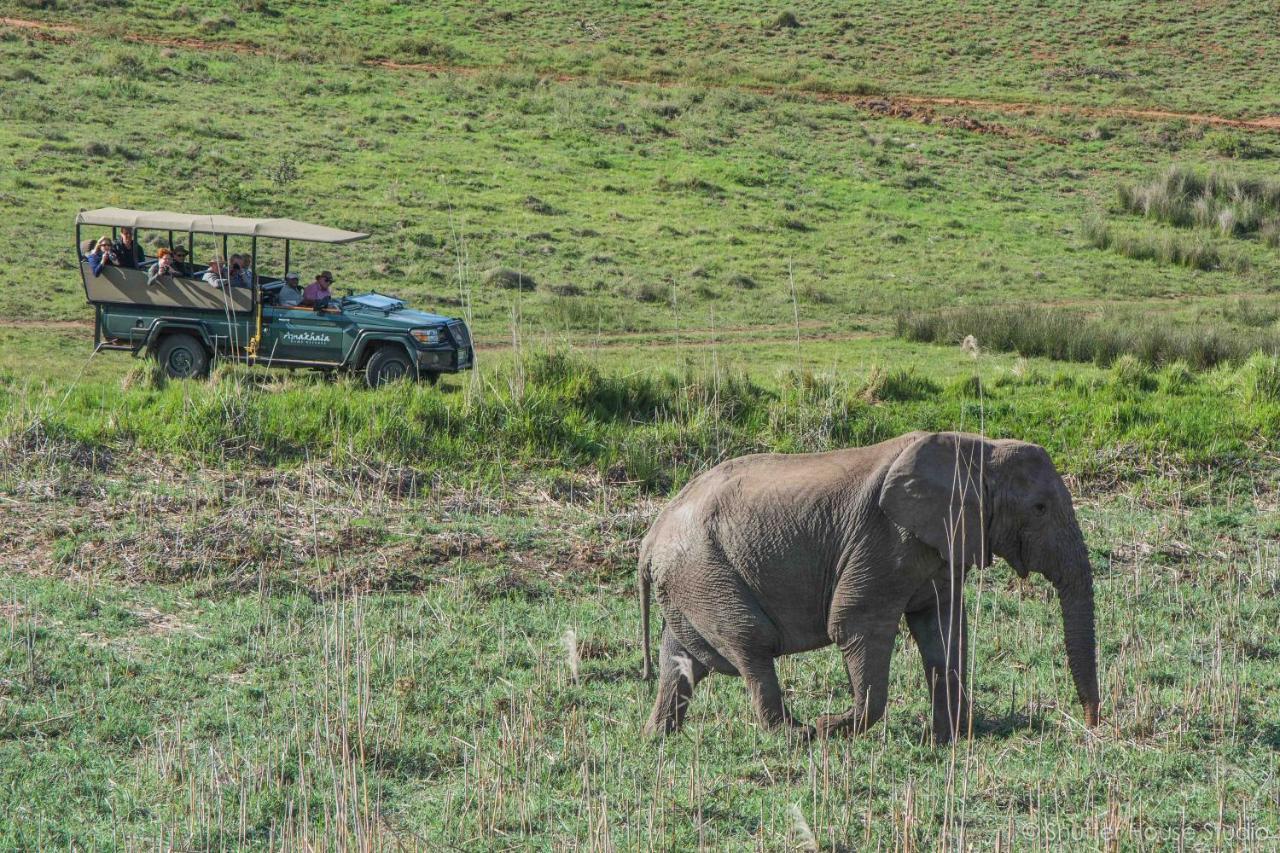 Safari Lodge - Amakhala Game Reserve Luaran gambar